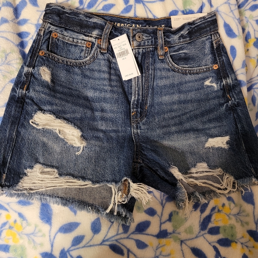 American Eagle 90s Boyfriend Jean Shorts Size 0